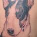 tattoo galleries/ - untitled - 53389